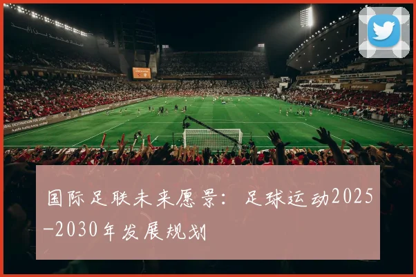 国际足联未来愿景：足球运动2025-2030年发展规划
