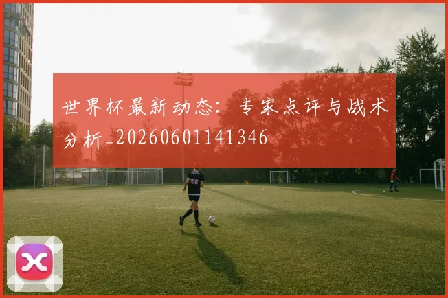 世界杯最新动态：专家点评与战术分析_20260601141346