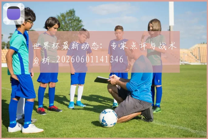 世界杯最新动态:专家点评与战术分析_20260601141346